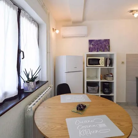 公寓 In Pjescana Uvala/istrien 11044 普耶斯察纳乌瓦拉