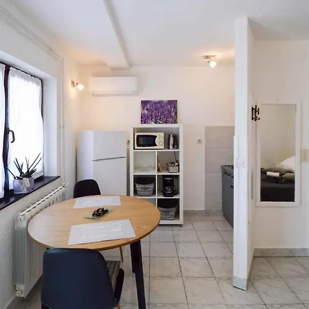Apartment In Pjescana Uvala/istrien 11044